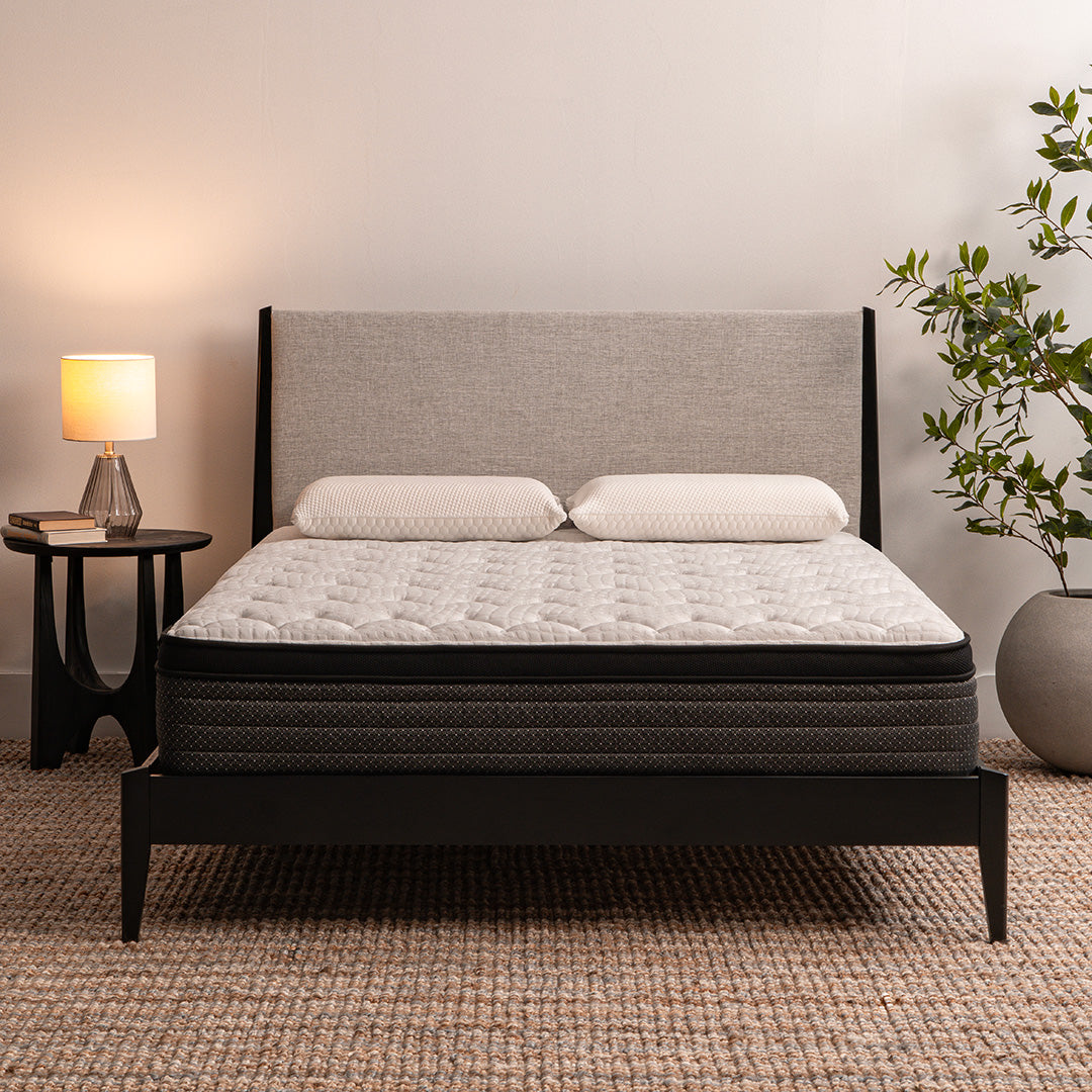 Alpine 11" Pillow Top Mattress by Factory Direct Mattress