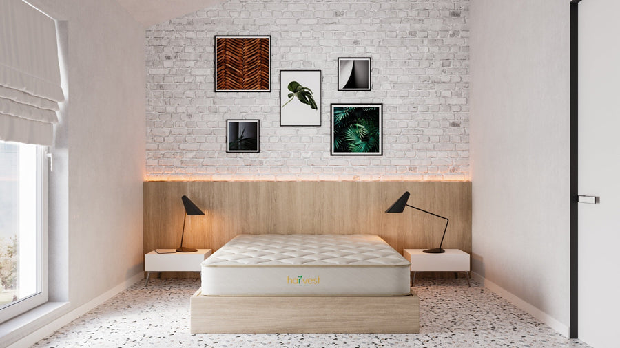 Harvest Green Essentials product image 1