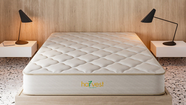 Harvest Green Essentials product image 2